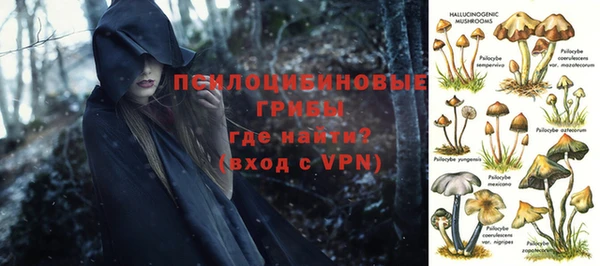 не бодяженный Алзамай