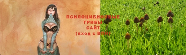 mix Алексеевка