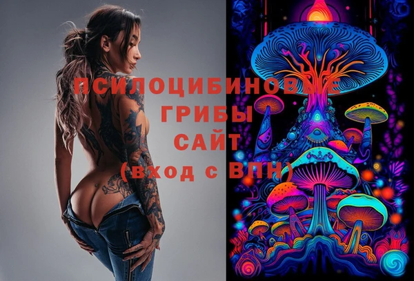не бодяженный Алзамай