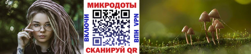 Галлюциногенные грибы прущие грибы  купить наркоту  Богучар 